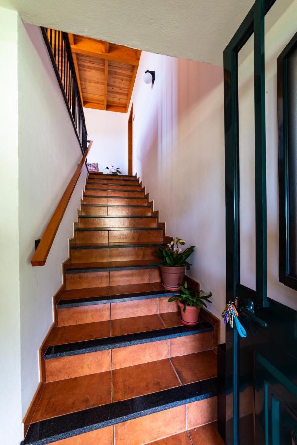 Vila Casa Miguel Machico  Exteriér fotografie